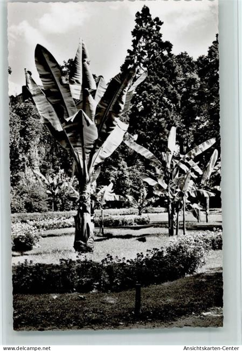 40143710 - Offenburg