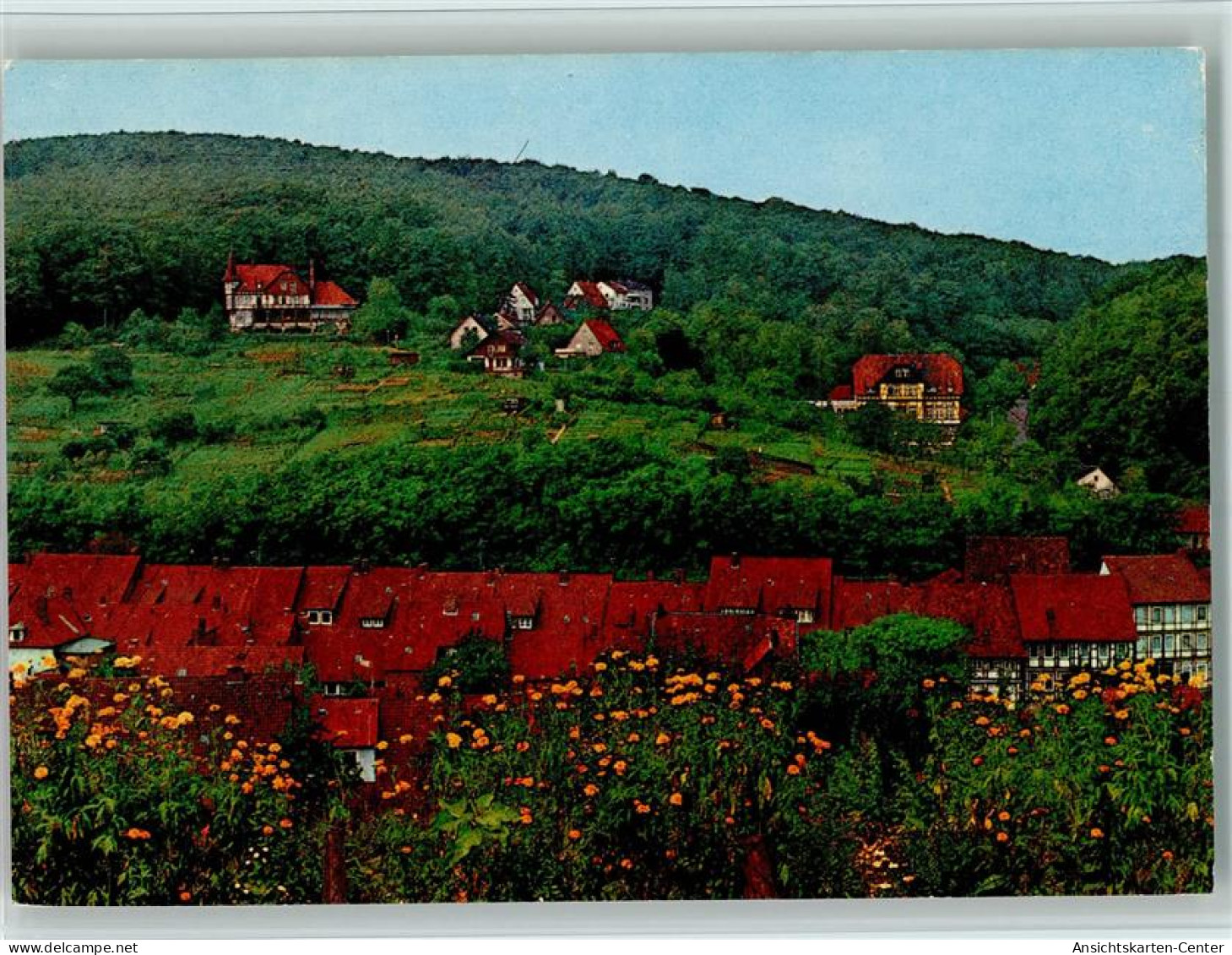 40149714 - Bad Salzdetfurth