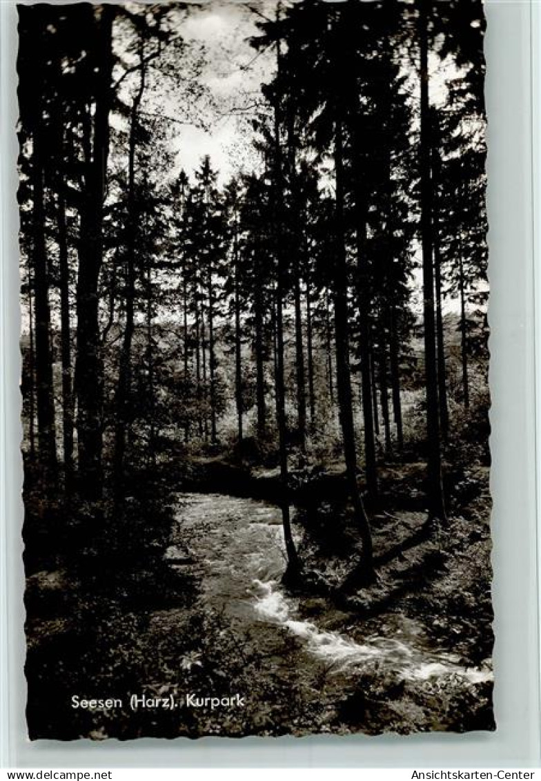 40152025 - Seesen , Harz