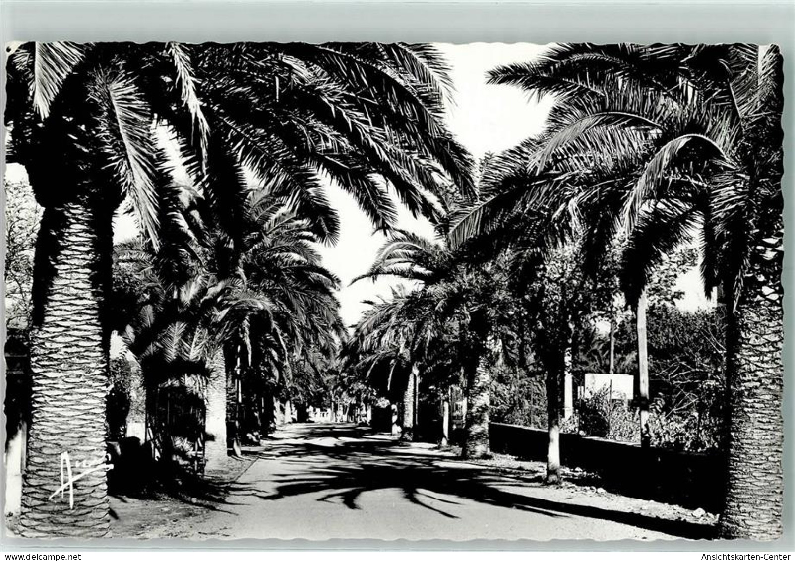 40162223 - Sanary-sur-Mer