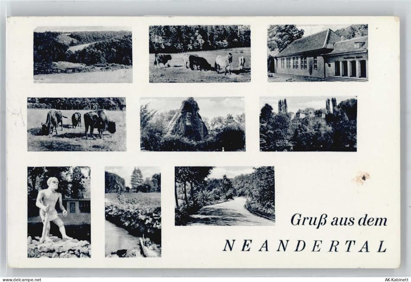40822 W4020 Mettmann - Neandertal - 51053080