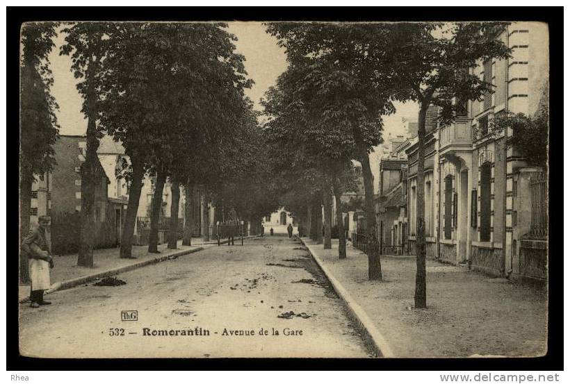 41 Romorantin-Lanthenay allee arbre