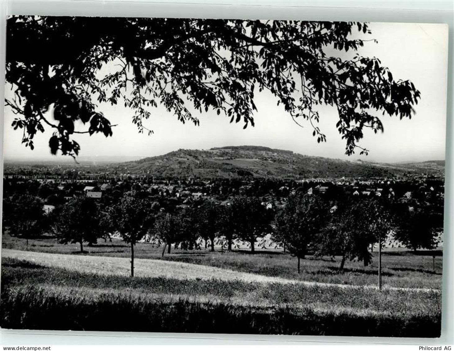 4125 Riehen Gebrauchsspuren Tüllingerhügel - 10598029