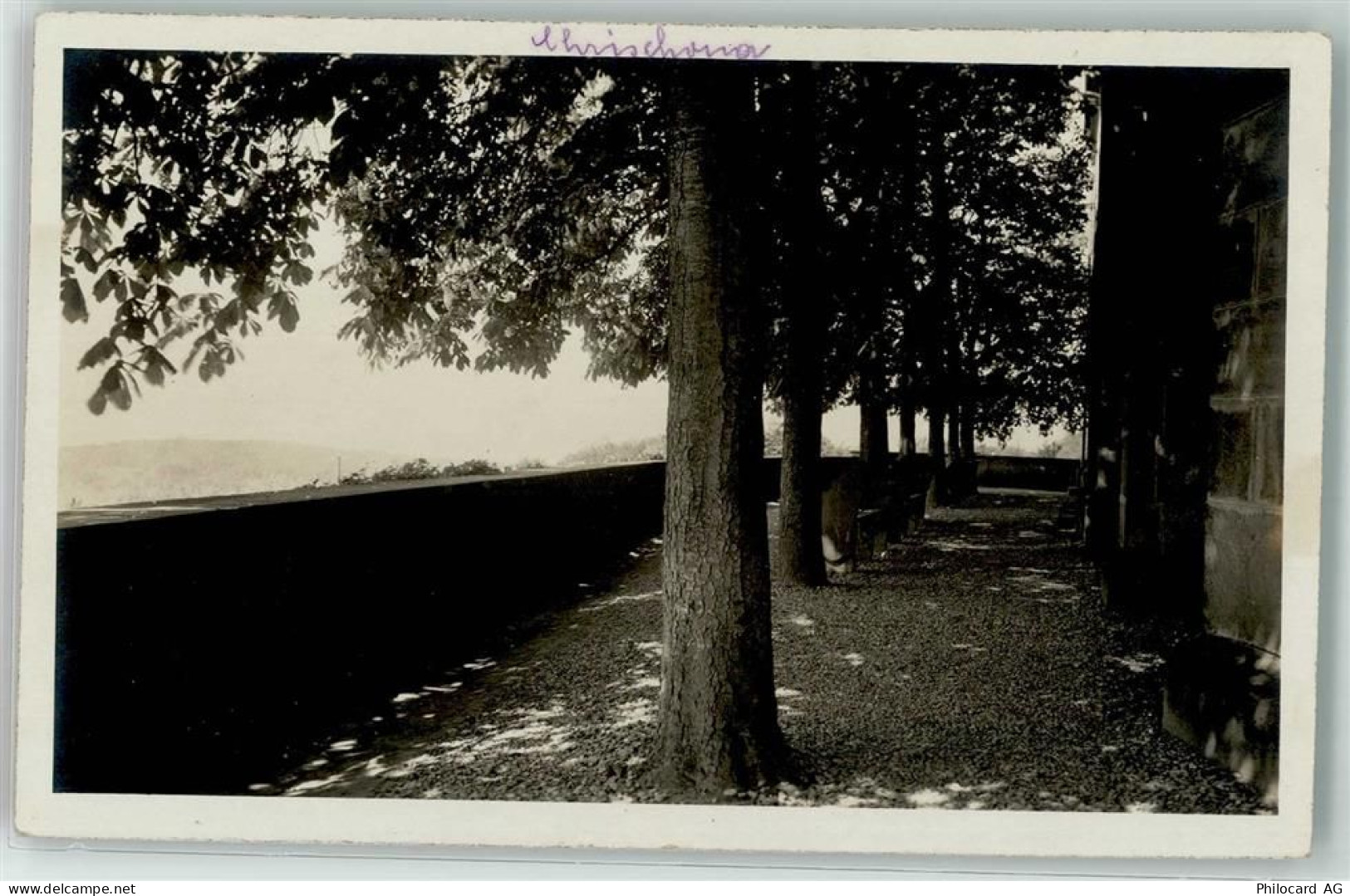 4126 Bettingen - St Chrischona Parkanlage - 39403954
