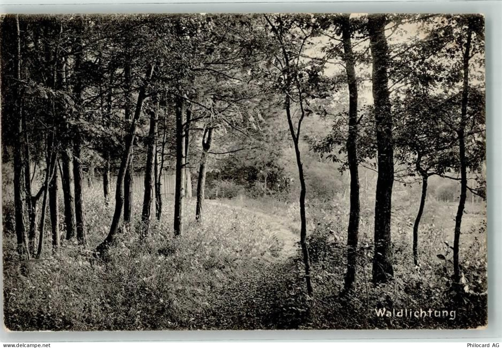 4127 Birsfelden 1909 - Waldlichtung Ort lt. Stempel - 39691083