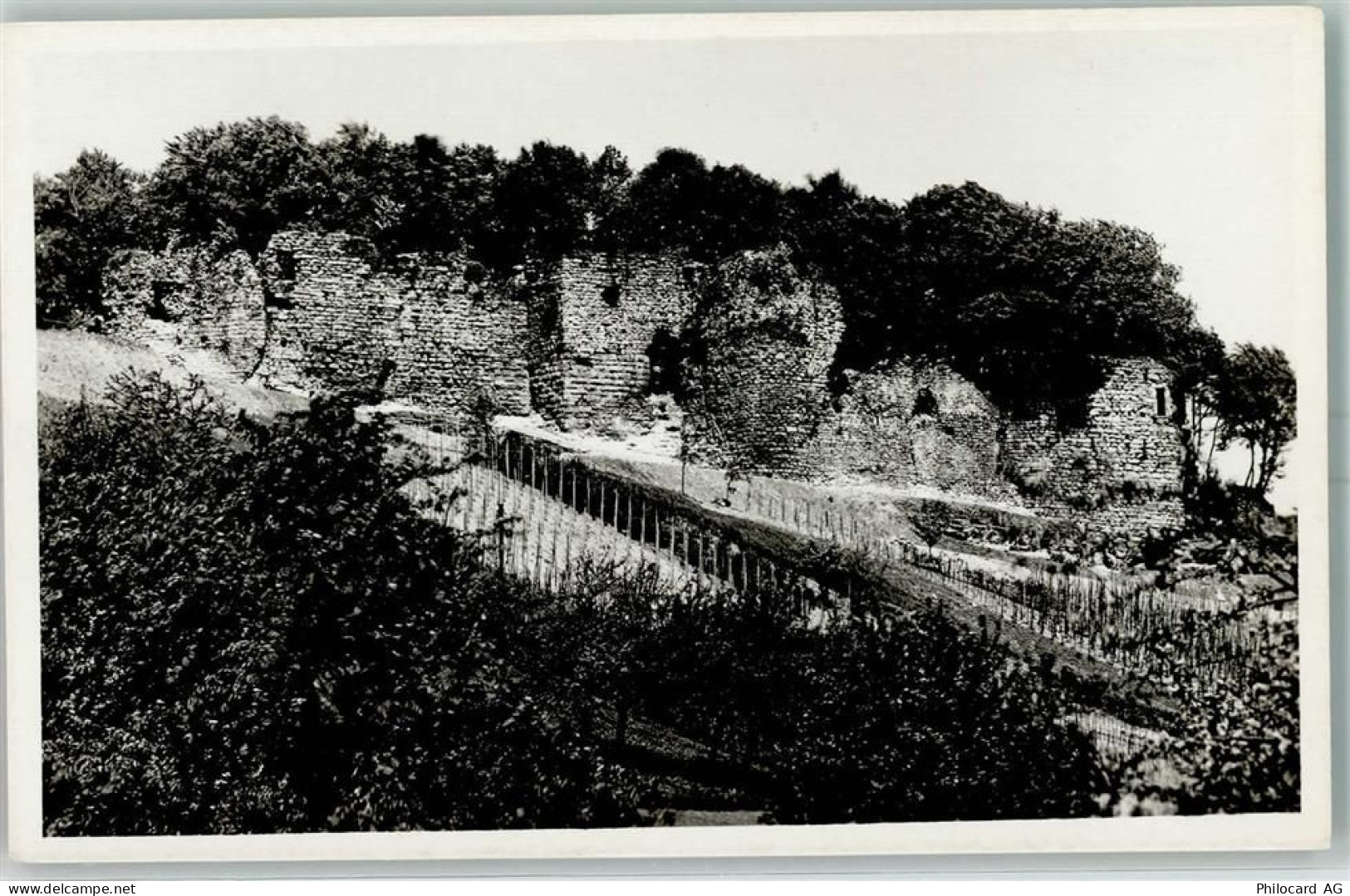 4132 Muttenz - Römerburg - 10395354