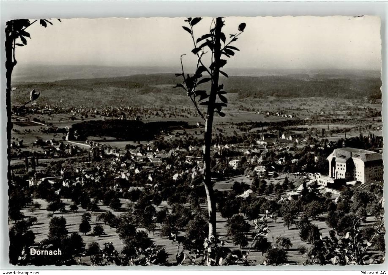 4143 Dornach - 52010537