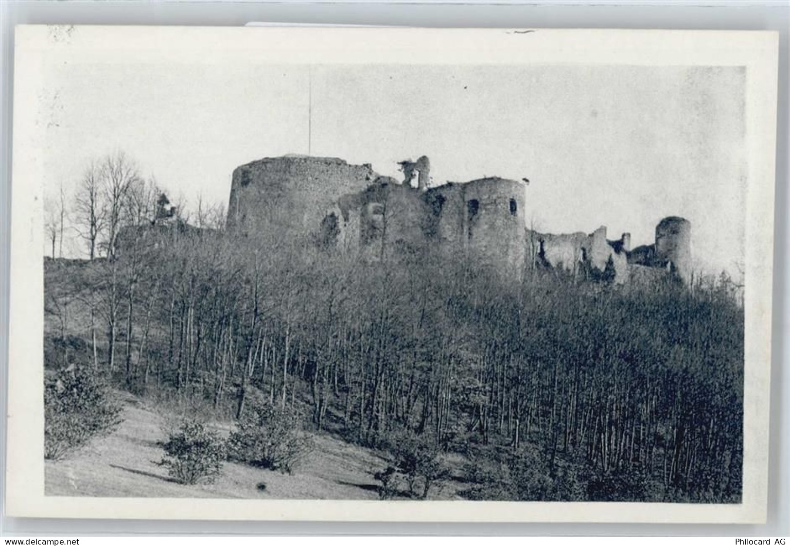 4143 Dornach - Ruine - 50737389