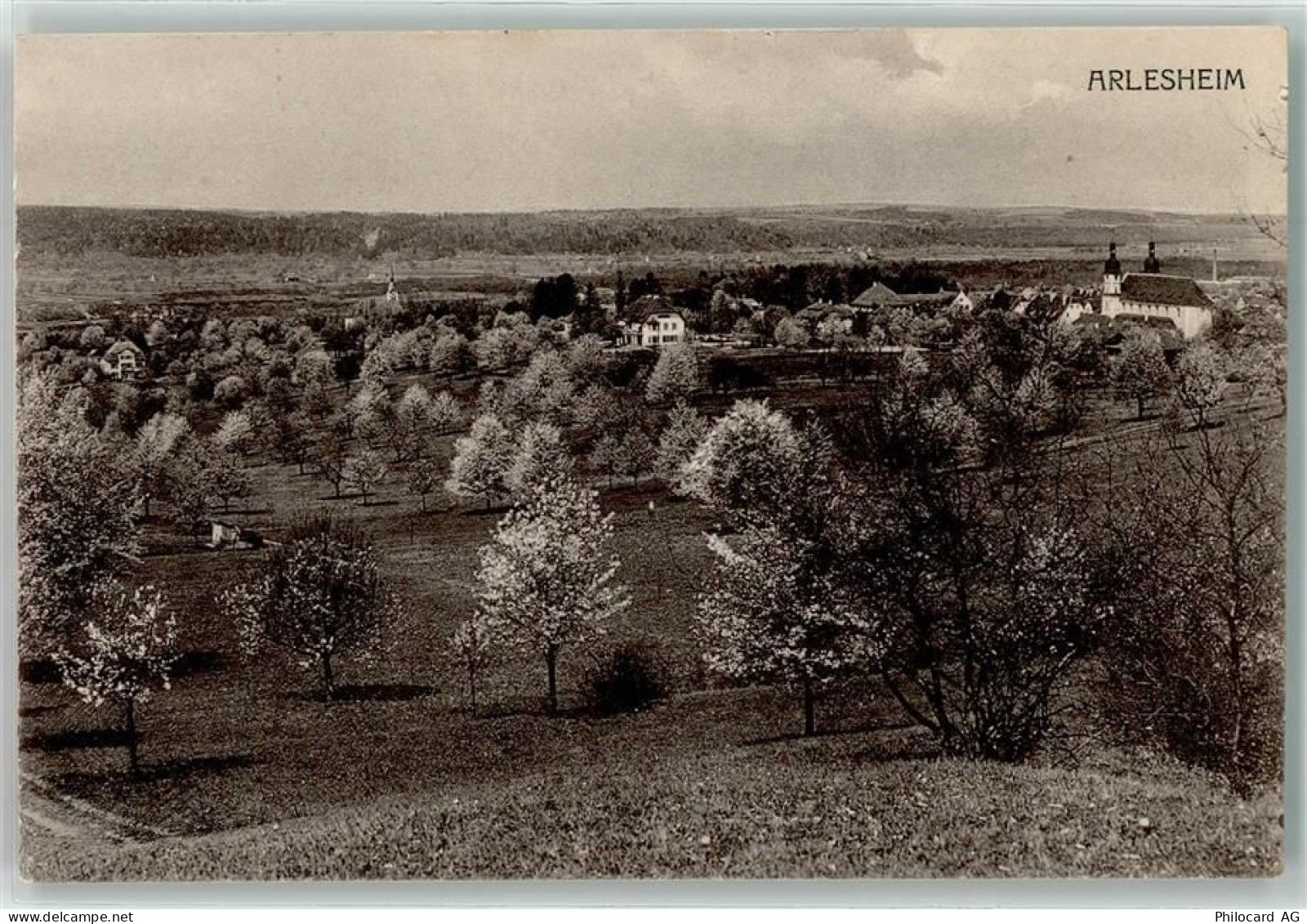 4144 Arlesheim - Baumblüte - 13256157