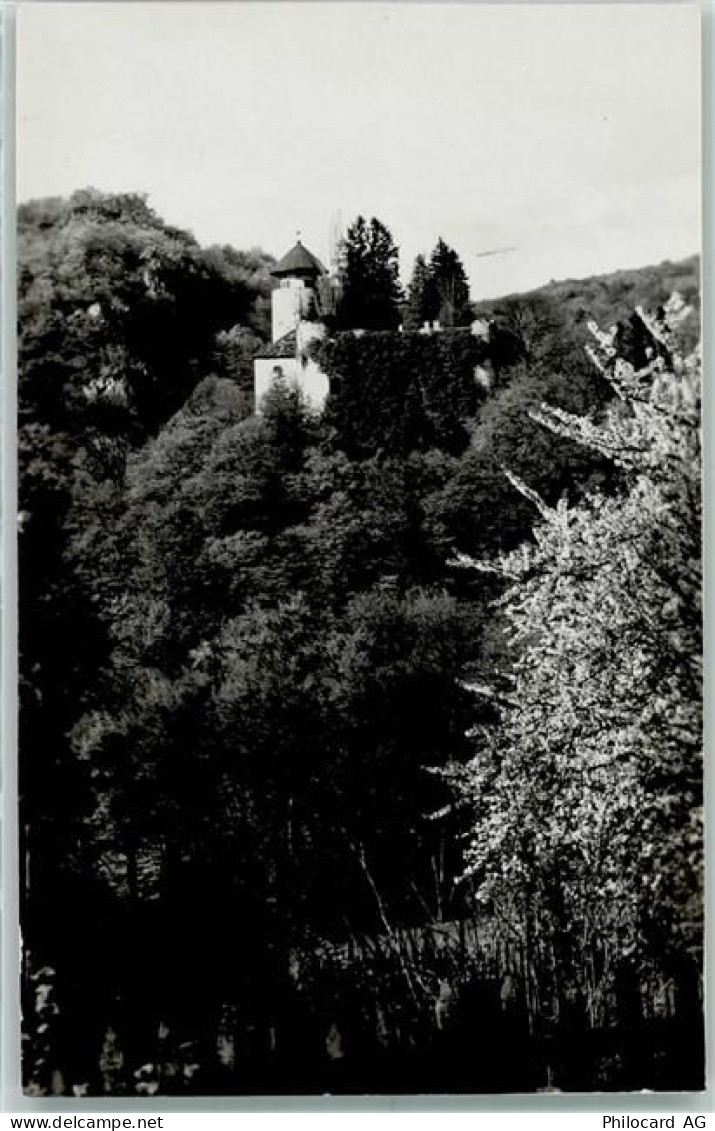 4144 Arlesheim - Schloss Birseck - 10305941