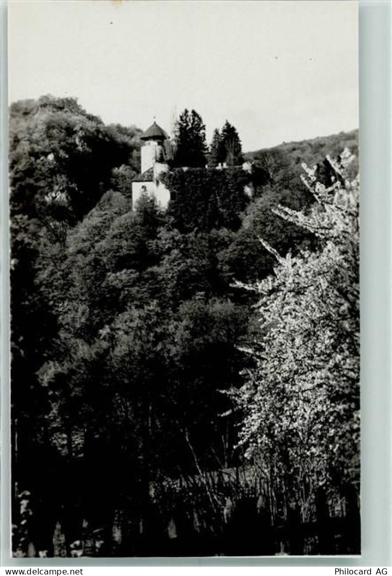 4144 Arlesheim - Schloss Birseck - 10305942