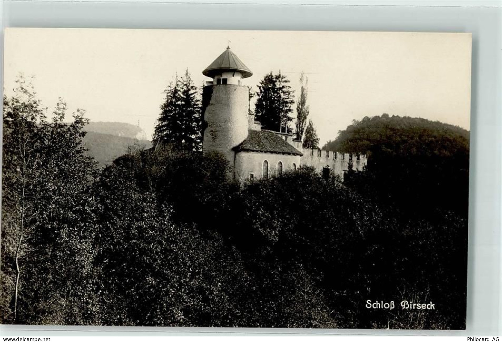 4144 Arlesheim - Schloss Birseck - 10622179