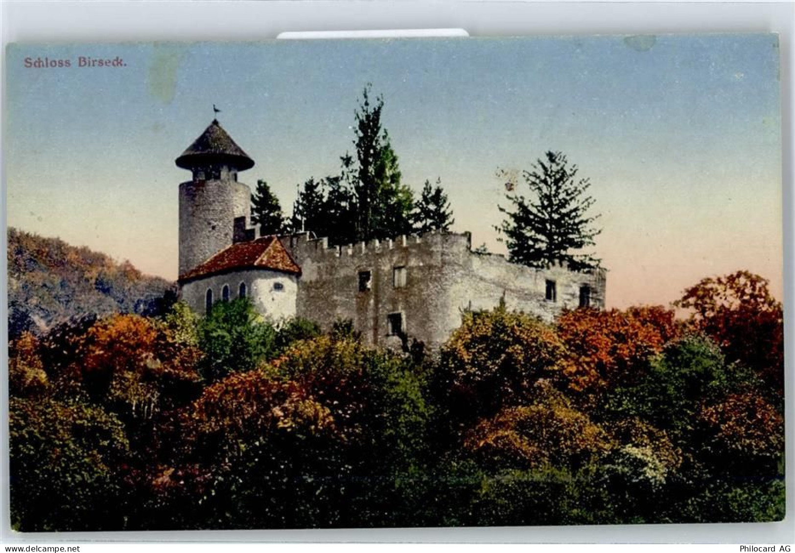 4144 Arlesheim - Schloss Birseck - 51338042