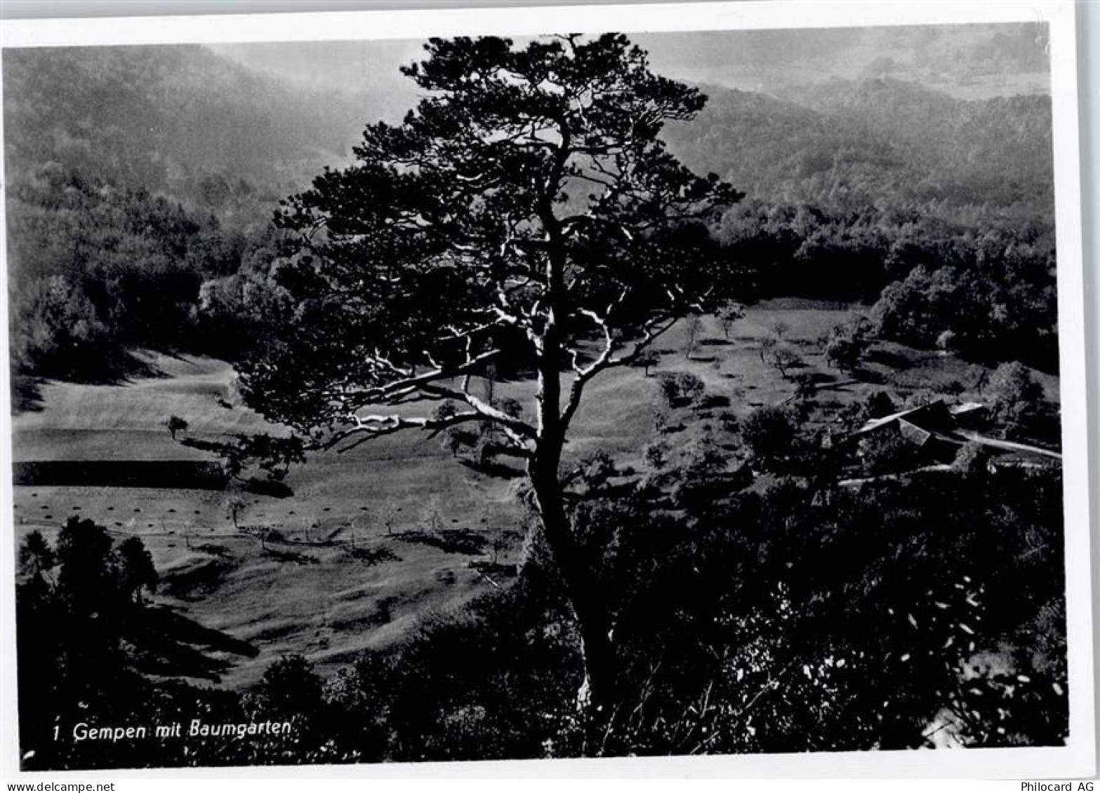 4145 Gempen - Baumgarten - 50746013