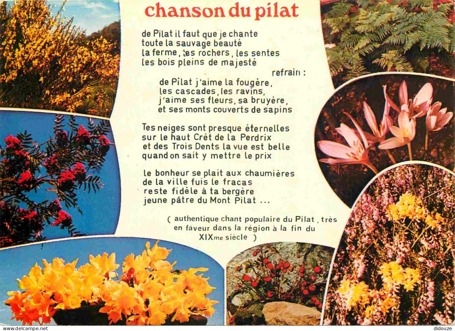 42 - Le Mont Pilat - Chanson du Pilat - Multivues - Fleurs - CPM - Voir Scans Recto-Verso