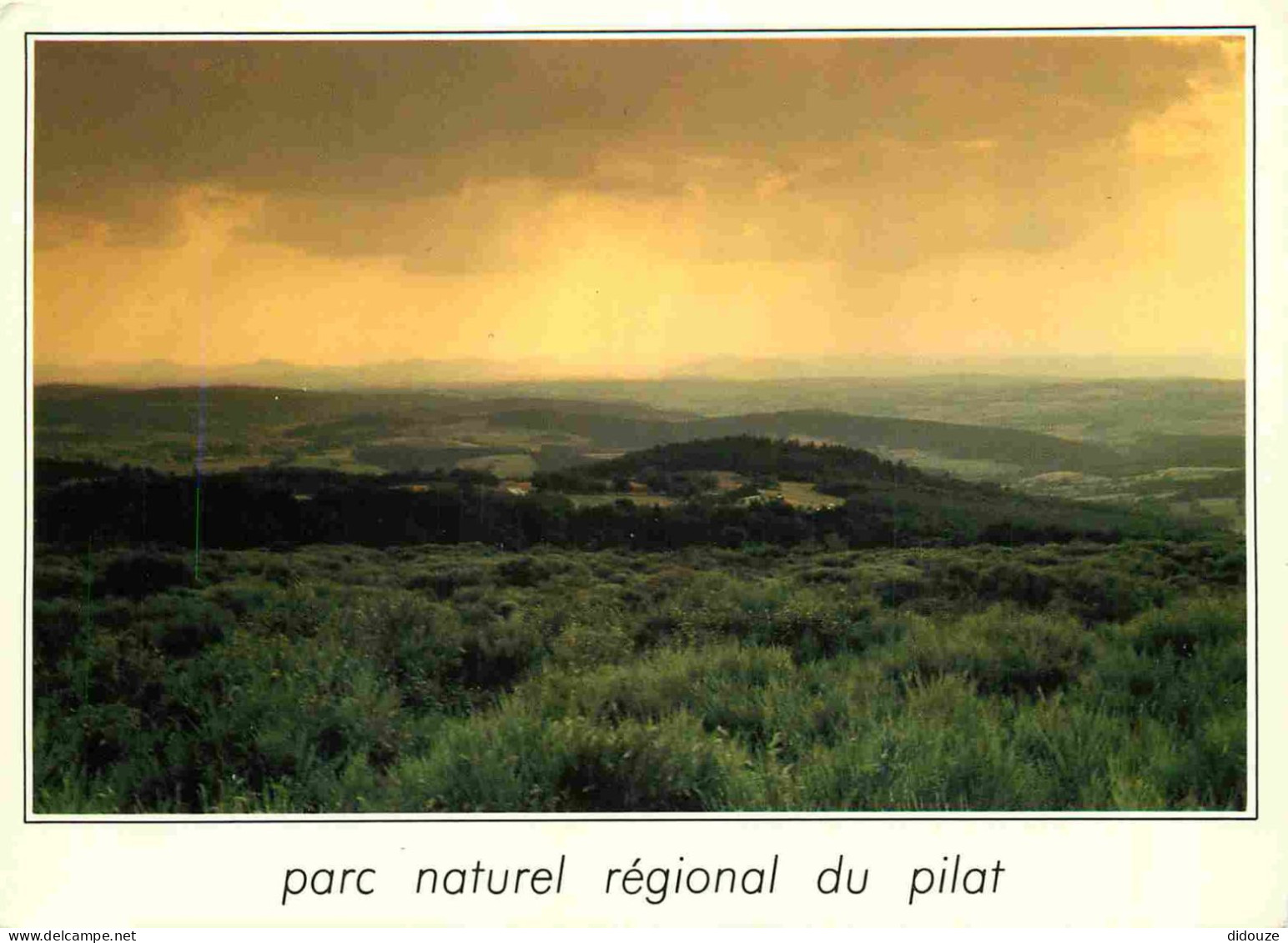 42 - Le Mont Pilat - Parc Naturel Régional du Pilat - CPM - Voir Scans Recto-Verso