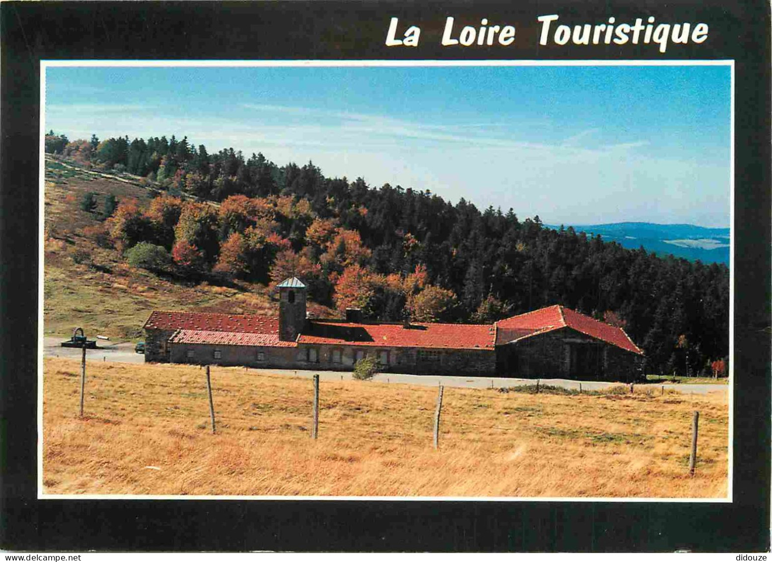 42 - Le Mont Pilat - Parc Naturel Régional du Pilat - La Jasserie du Pilat - CPM - Voir Scans Recto-Verso