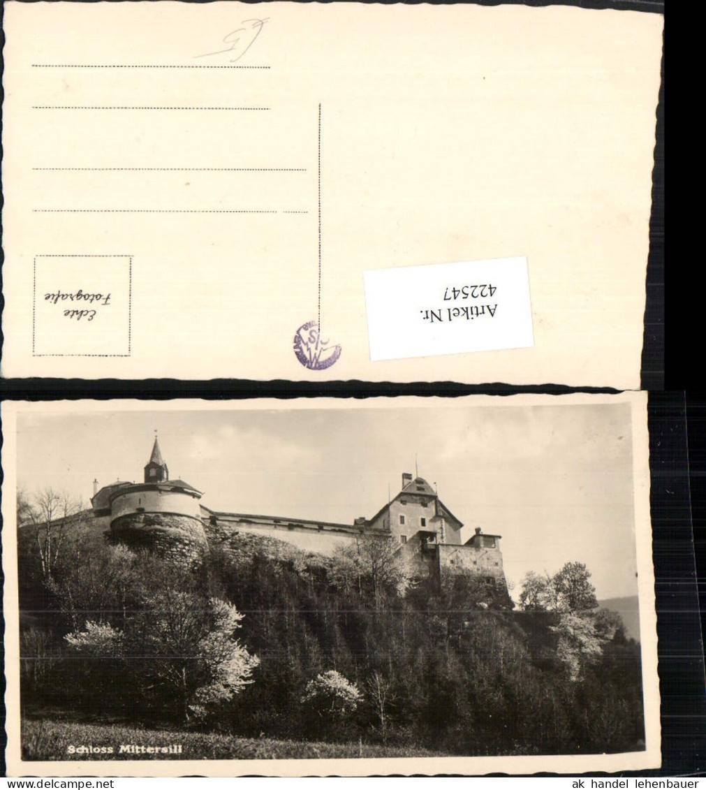 422547,Schloss Mittersill