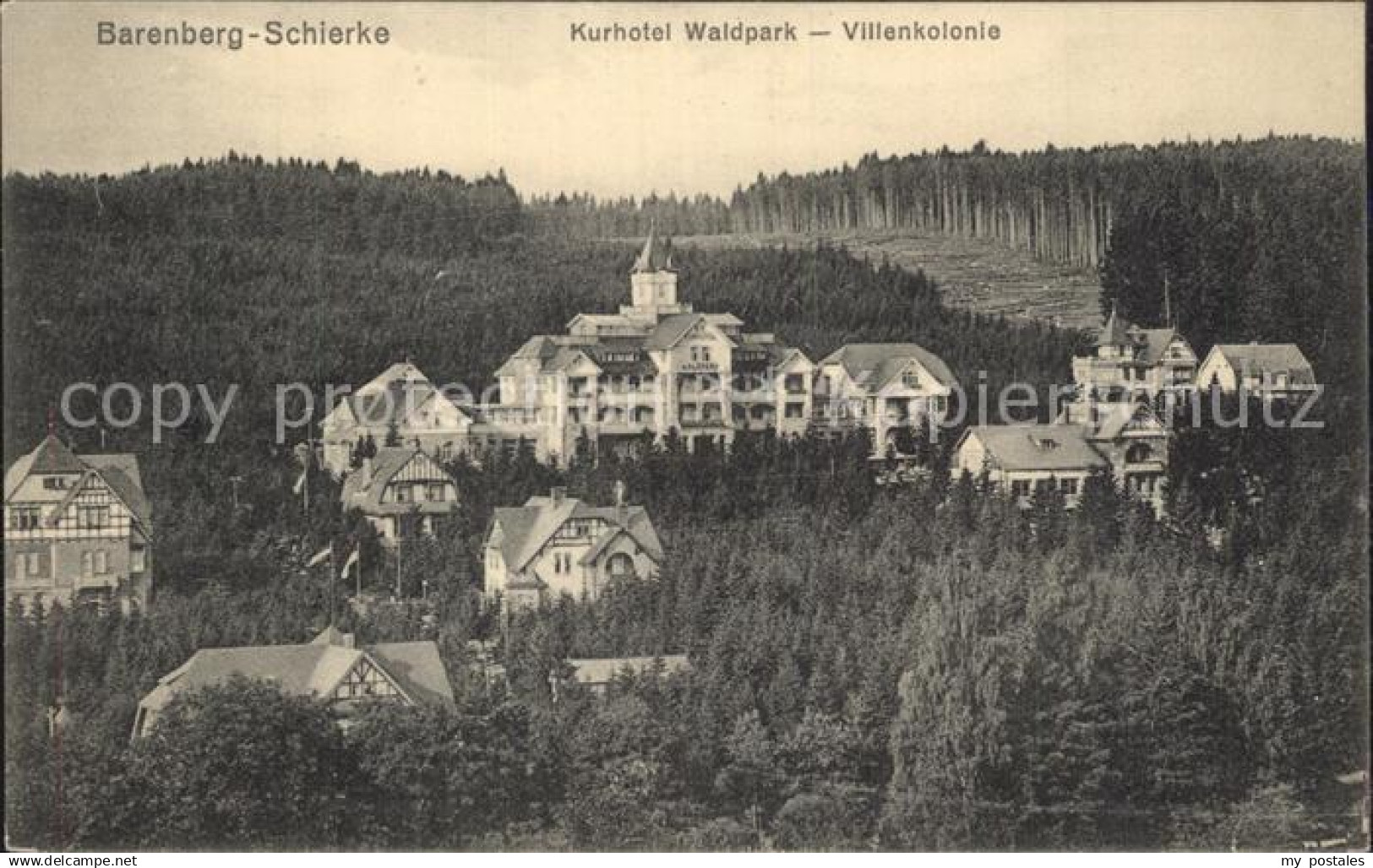 42468653 Schierke Harz Barenberg Kurhotel Waldpark Villenkolonie Schierke Harz