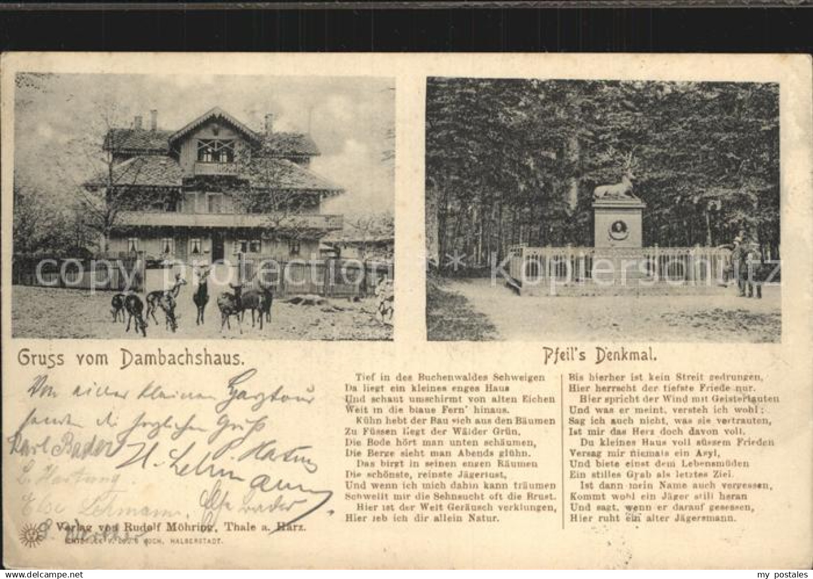 42468844 Thale Harz Dambachshaus Pfeils Denkmal Thale Harz