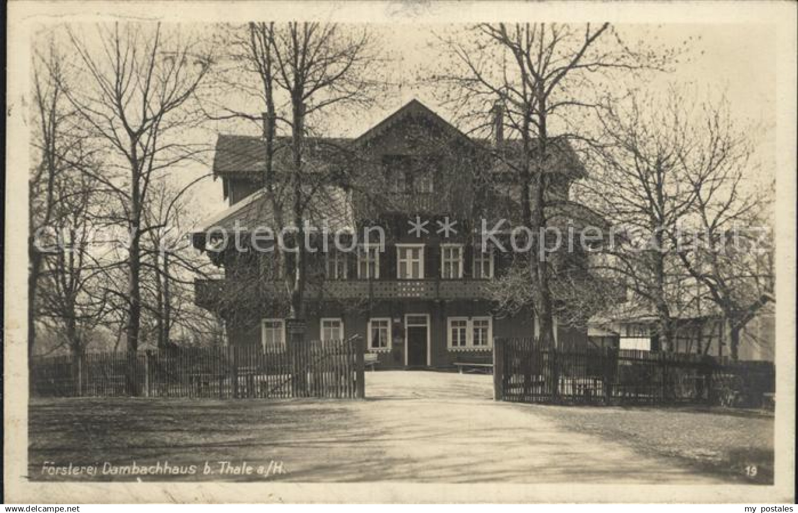 42468845 Thale Harz Foersterei Dambachhaus  Thale Harz