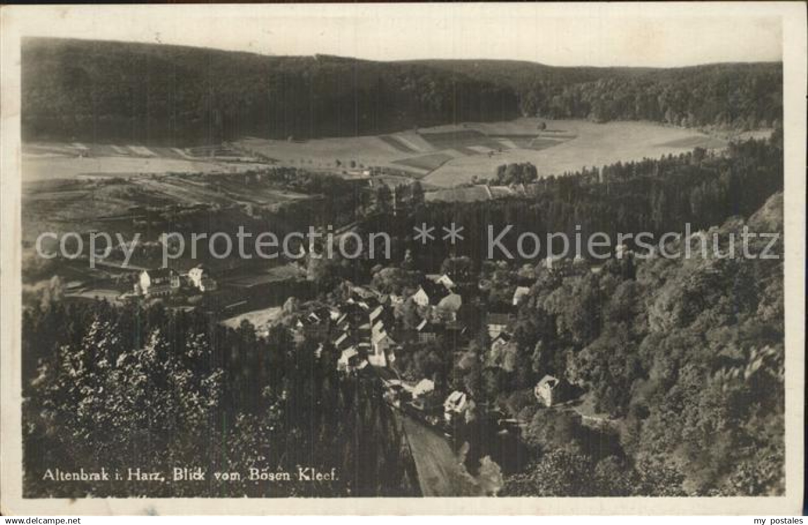 42510368 Altenbrak Harz Blick vom Boesen Kleef Altenbrak