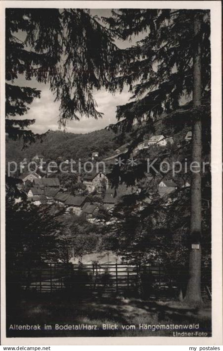 42511267 Altenbrak Harz Blick vom Haengemattenwald Altenbrak