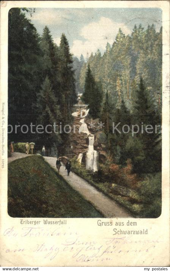 42558665 Triberg Schwarzwald Triberger Schwarzwald Triberg im Schwarzwald