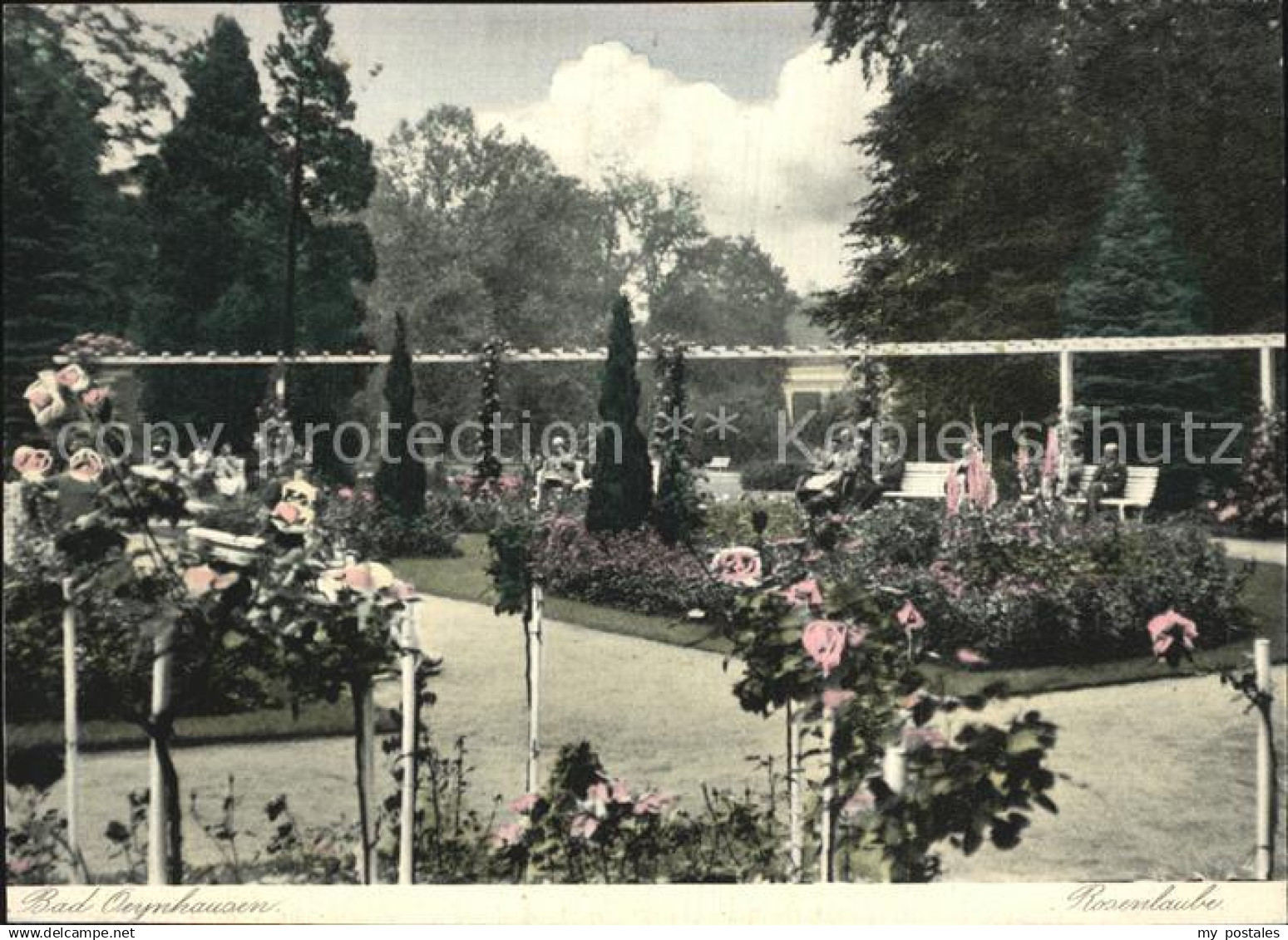 42569991 Bad Oeynhausen Rosenlaube Bad Oeynhausen