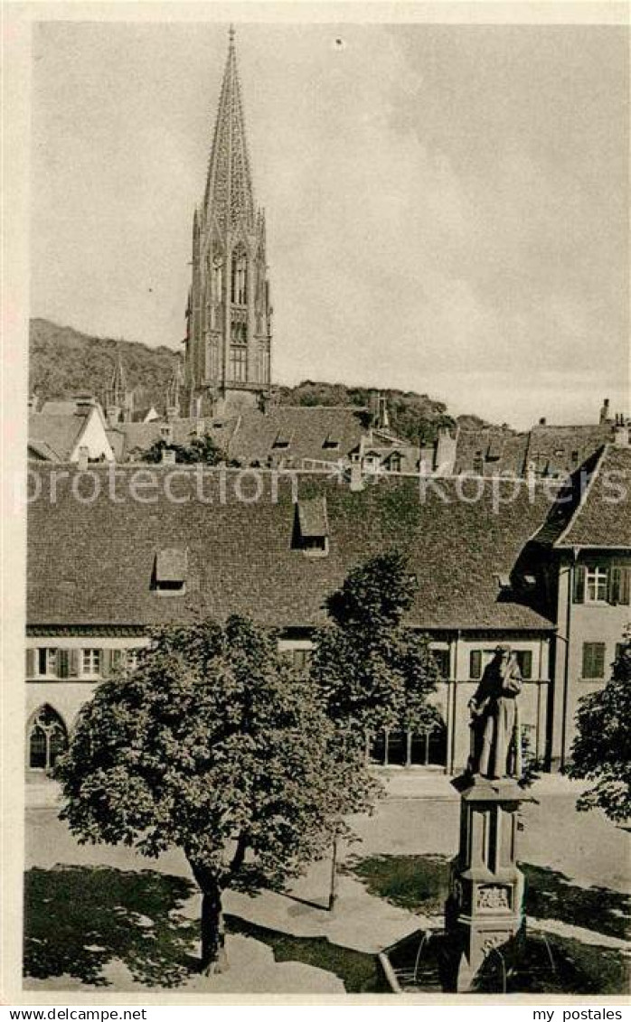 42656436 Freiburg Breisgau Muenster Freiburg Breisgau