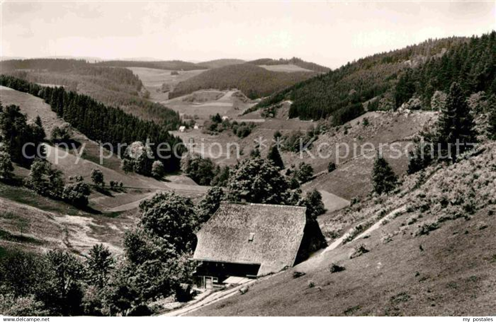 42668884 Triberg Schwarzwald Nussbachtal Triberg im Schwarzwald
