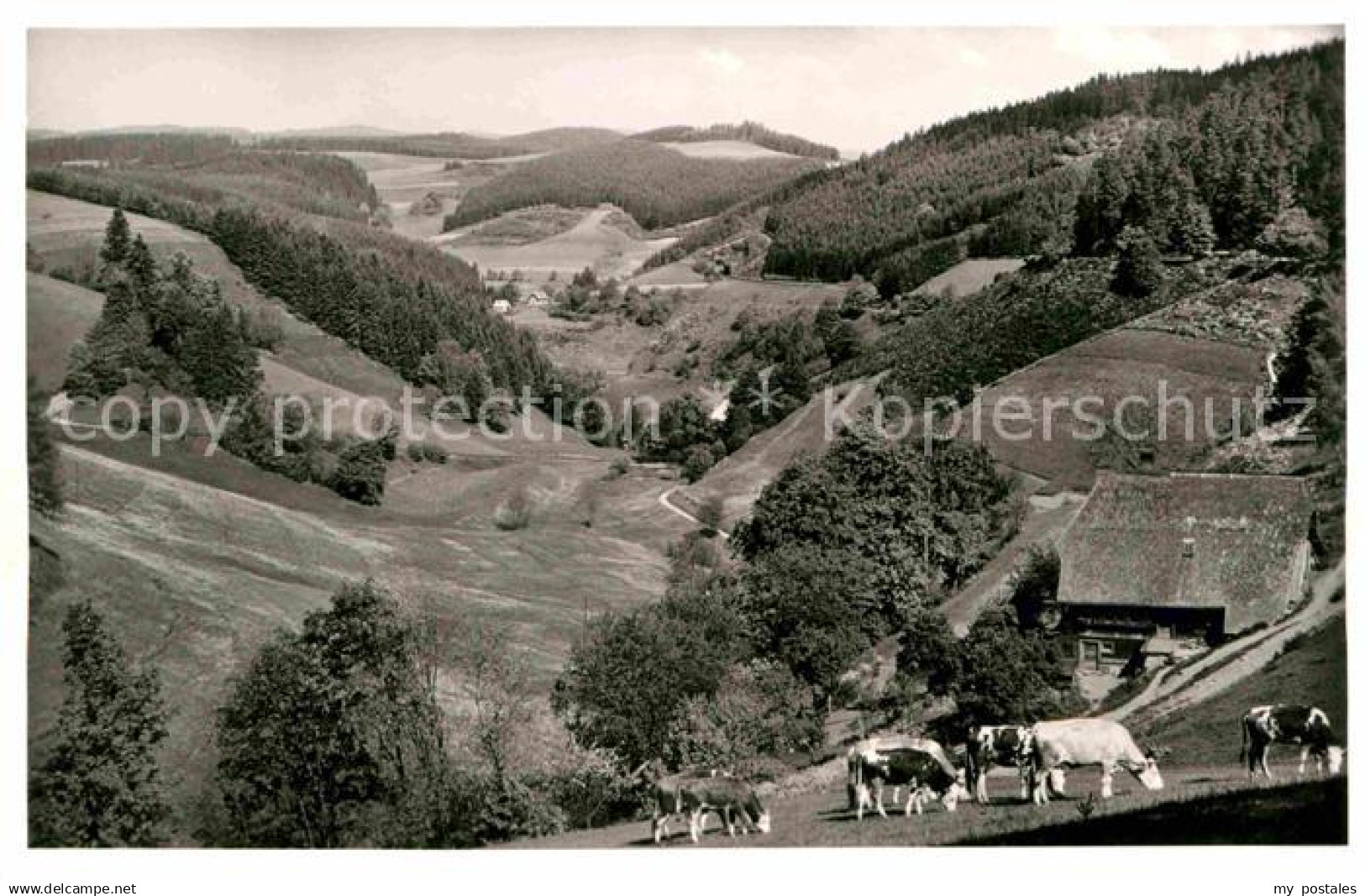 42669214 Triberg Schwarzwald Nussbachtal Triberg im Schwarzwald