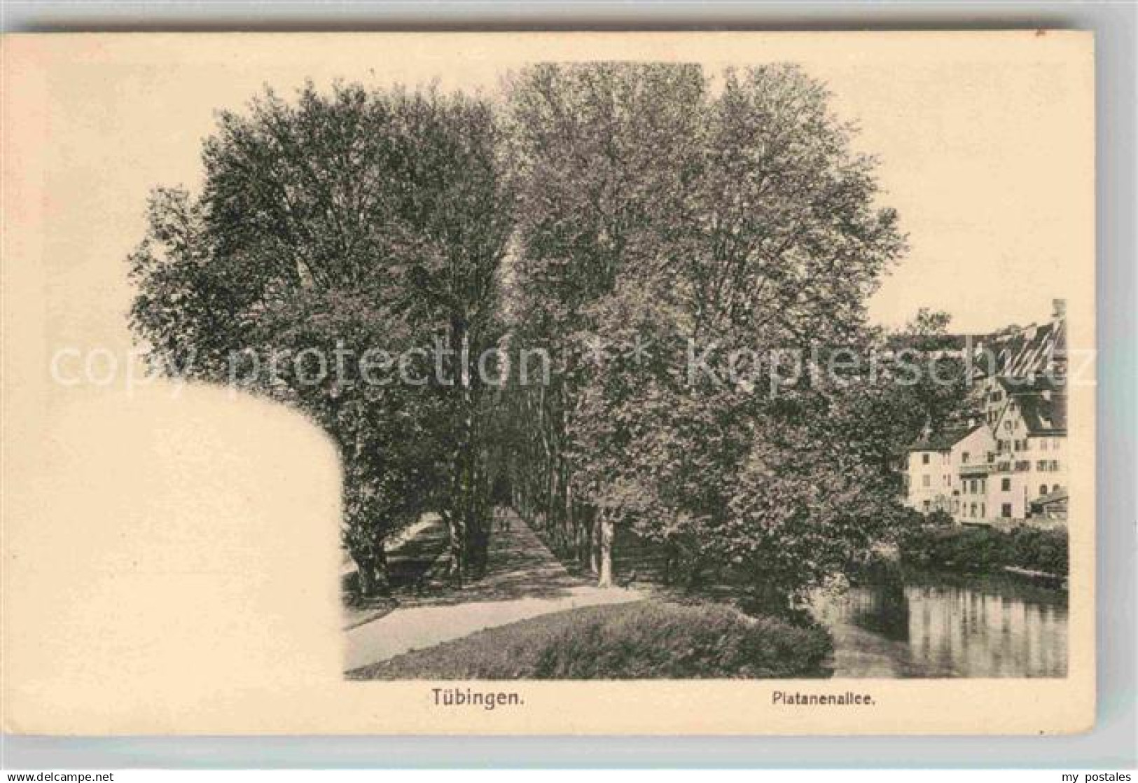 42674382 Tuebingen Platanenallee Tuebingen