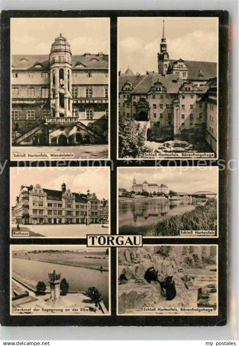 42684525 Torgau Hartenfels Schloss Rathaus Denkmal Begegnung  Torgau