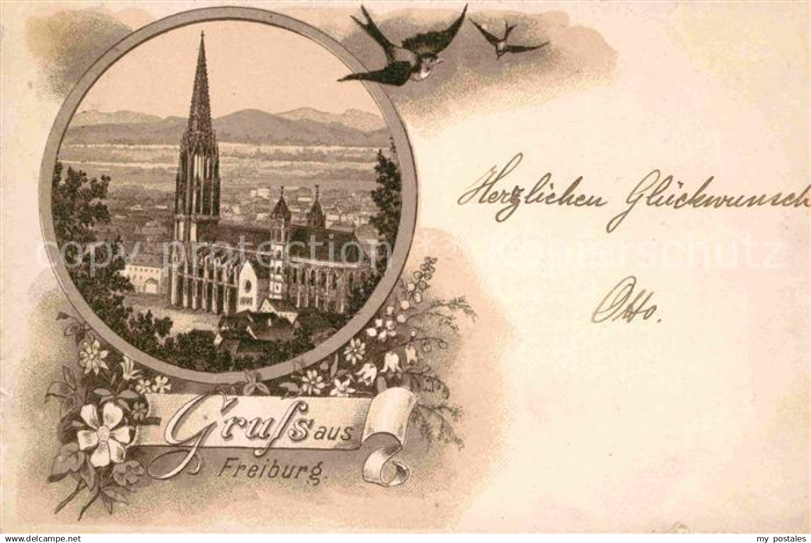 42688388 Freiburg Breisgau Muenster Freiburg Breisgau