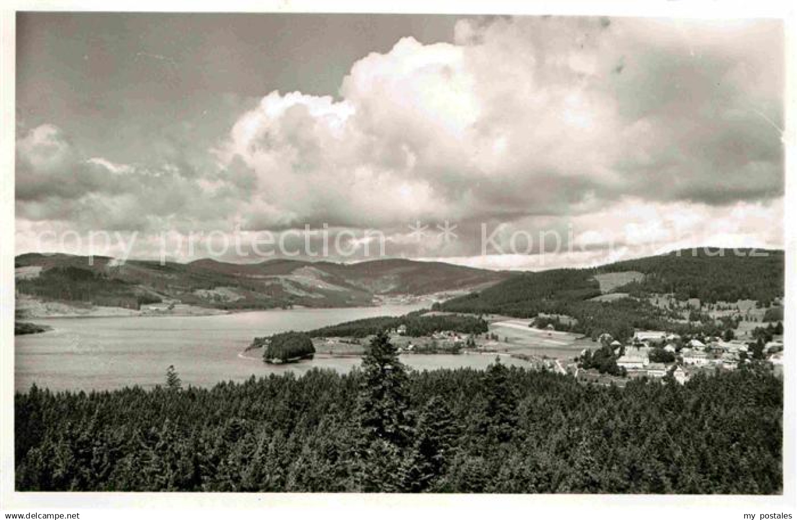42694502 Schluchsee Panorama  Schluchsee