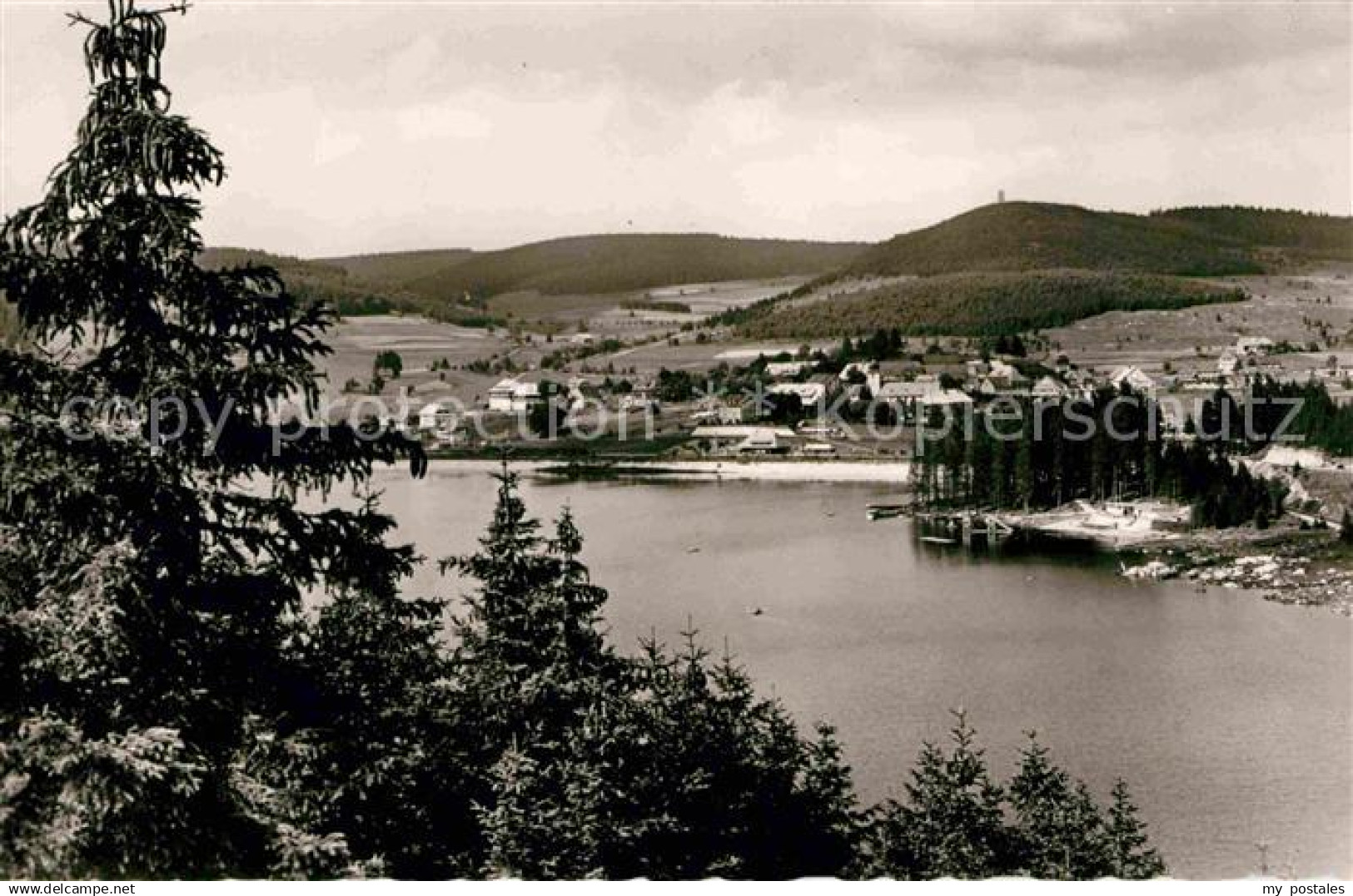 42694505 Schluchsee Panorama  Schluchsee