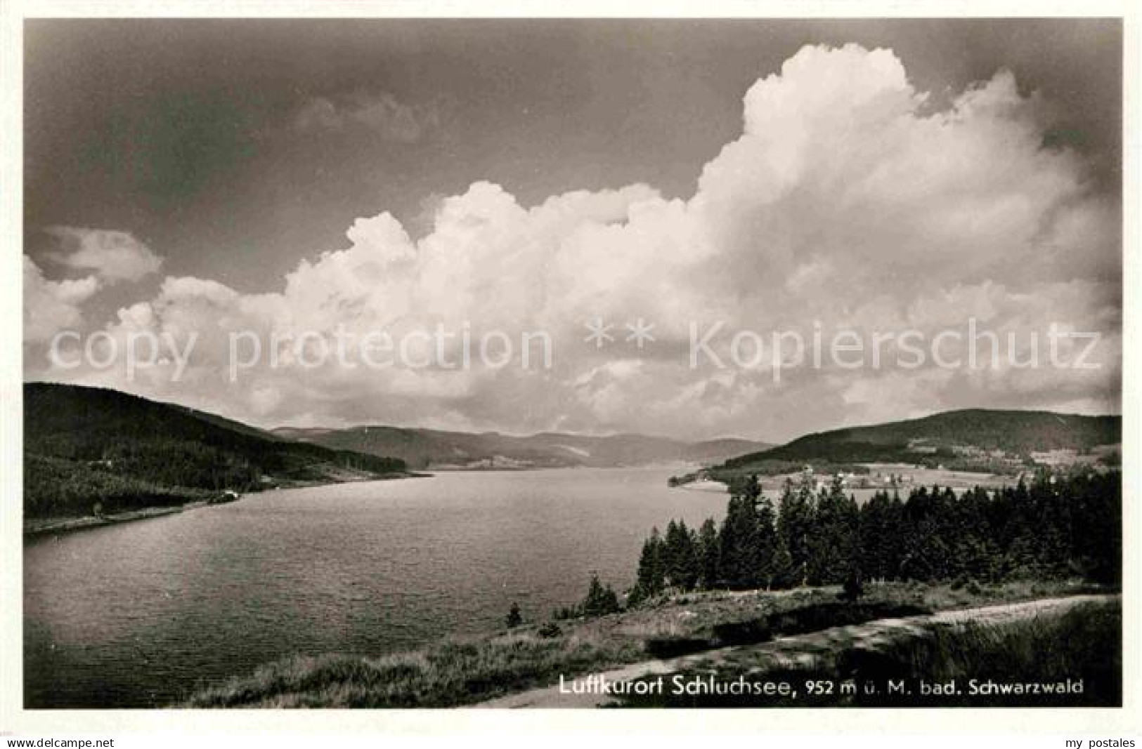 42694508 Schluchsee Panorama  Schluchsee