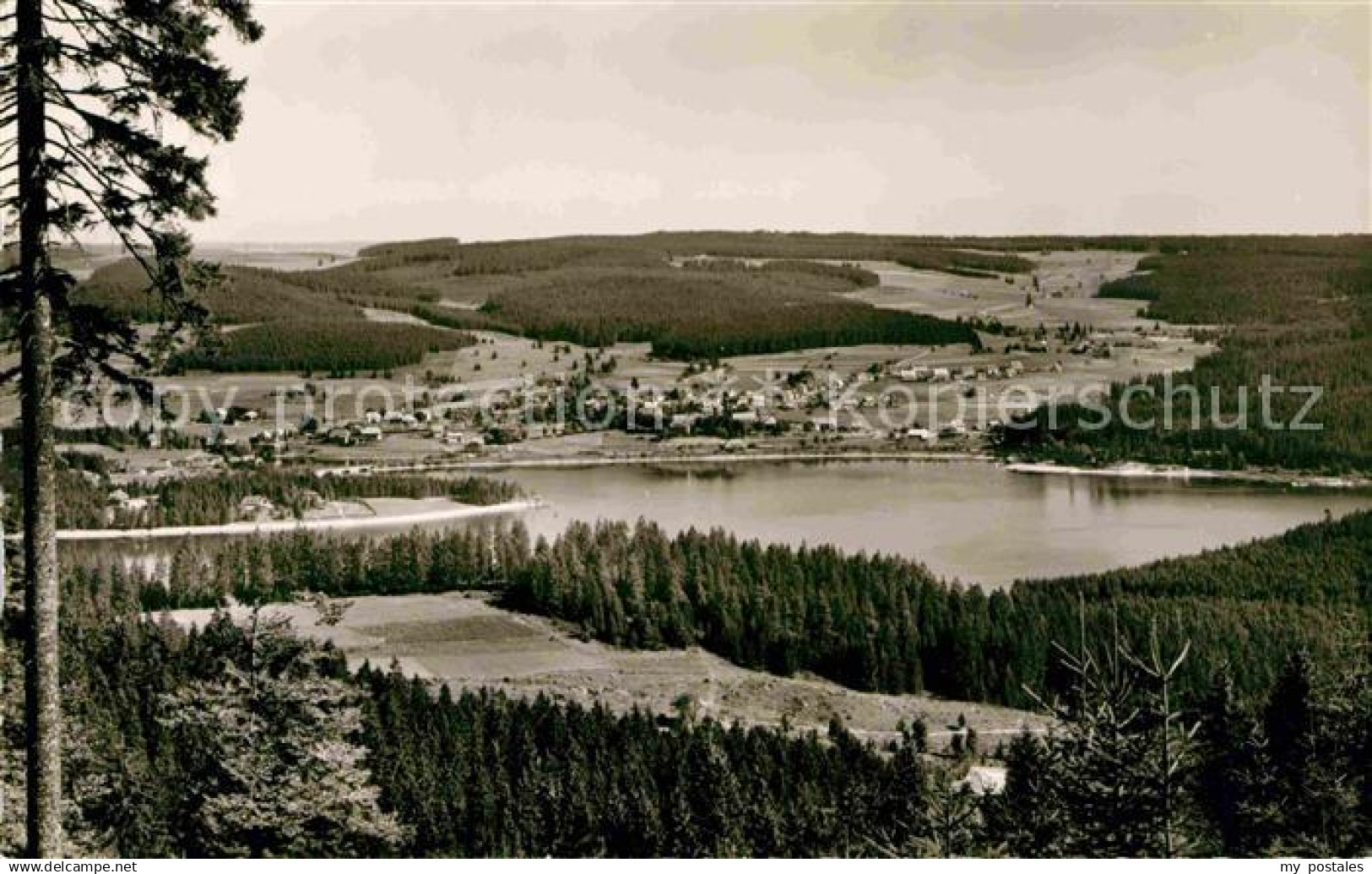 42694510 Schluchsee Panorama  Schluchsee