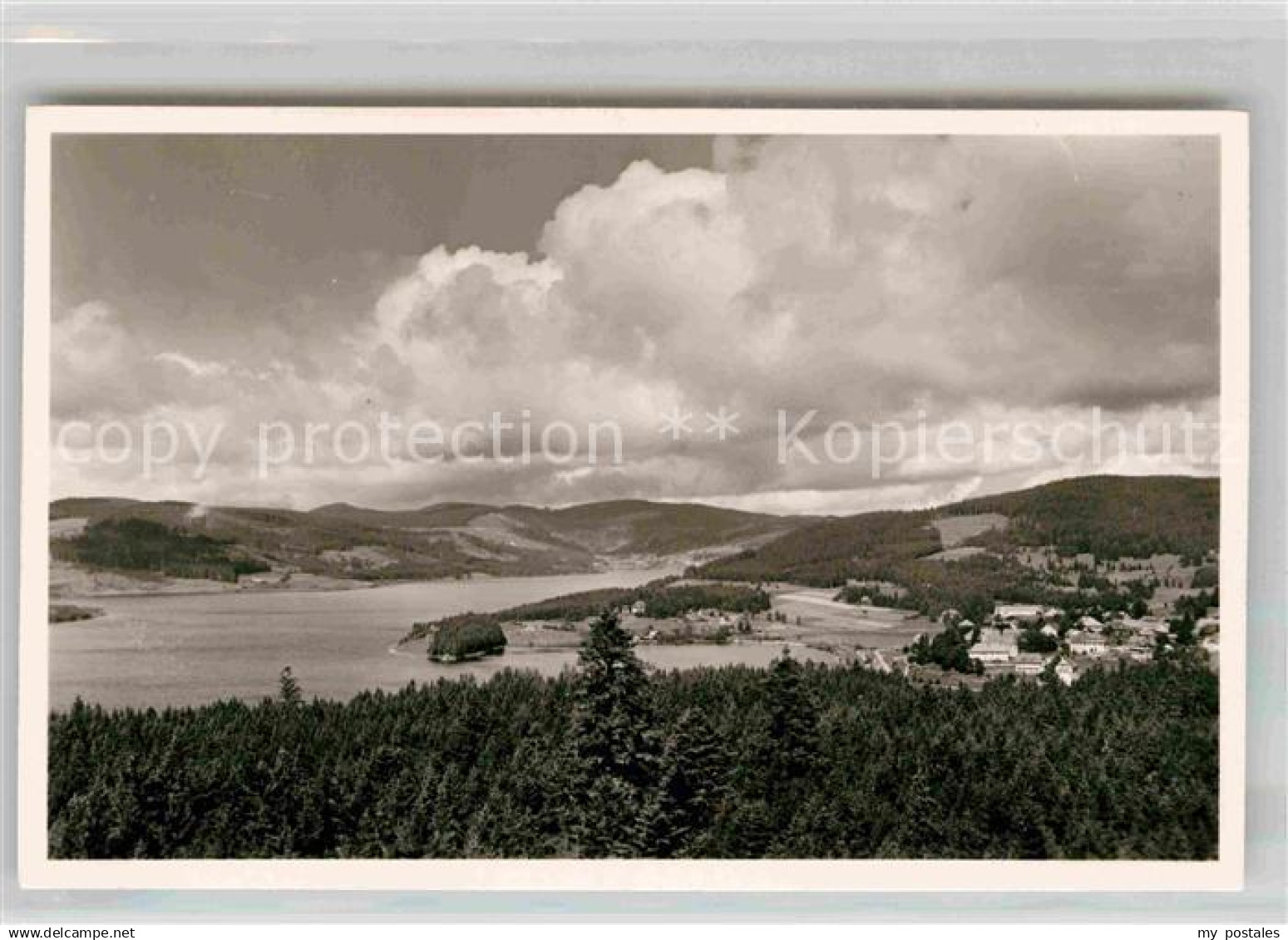 42695158 Schluchsee Panorama  Schluchsee