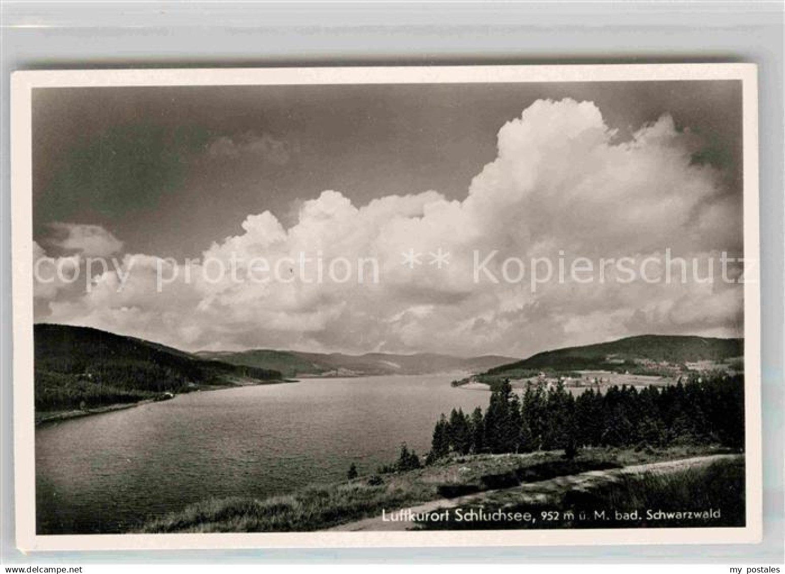 42695159 Schluchsee Panorama  Schluchsee