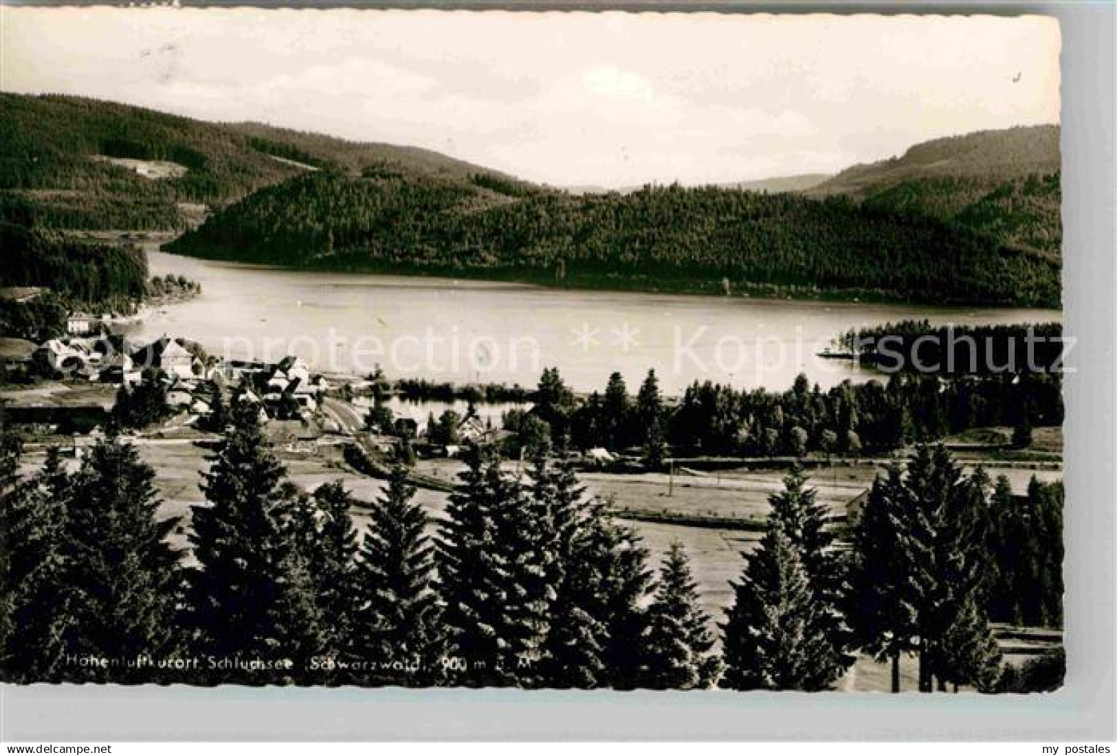 42695182 Schluchsee Panorama  Schluchsee