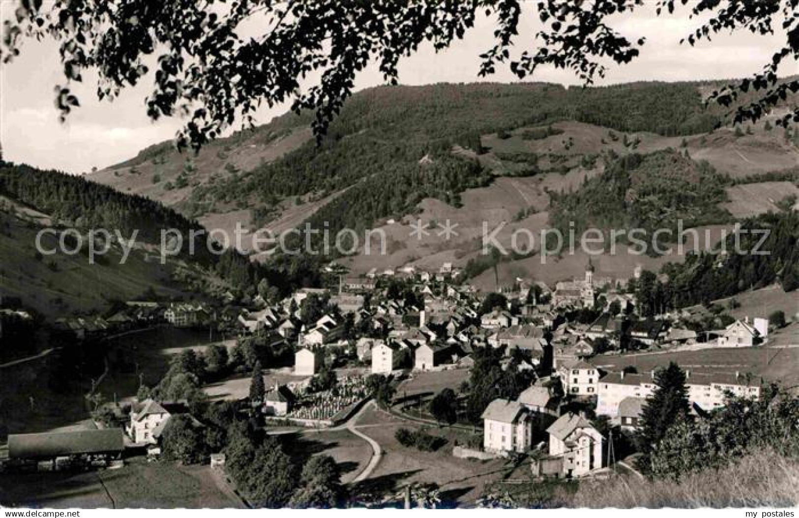 42696217 Todtnau Panorama  Todtnau
