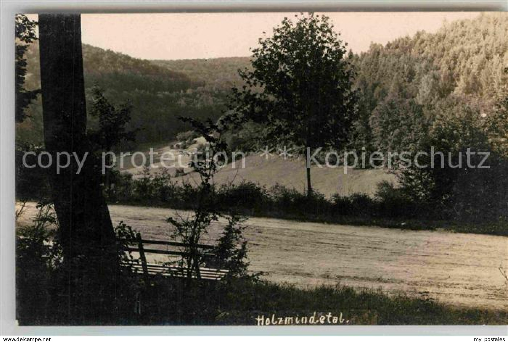 42702490 Holzminden Weser Tal Solling Bank Holzminden