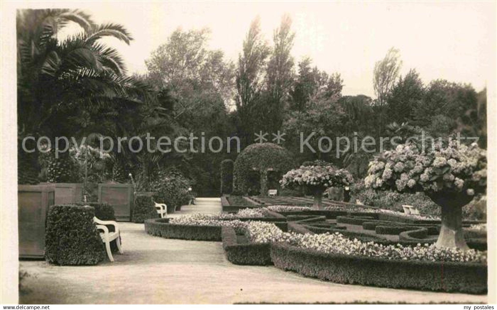 42707426 Bad Pyrmont Park Bad Pyrmont