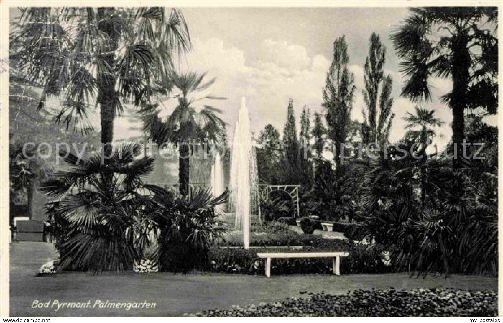 42708088 Bad Pyrmont Palmengarten Bad Pyrmont
