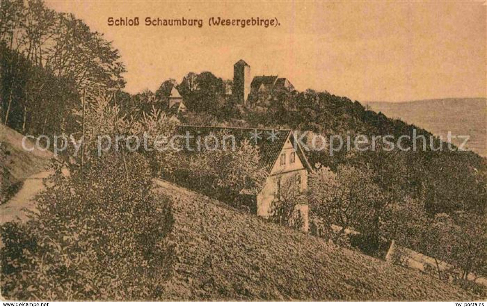 42708166 Rinteln Weser Schloss Schaumburg Rinteln