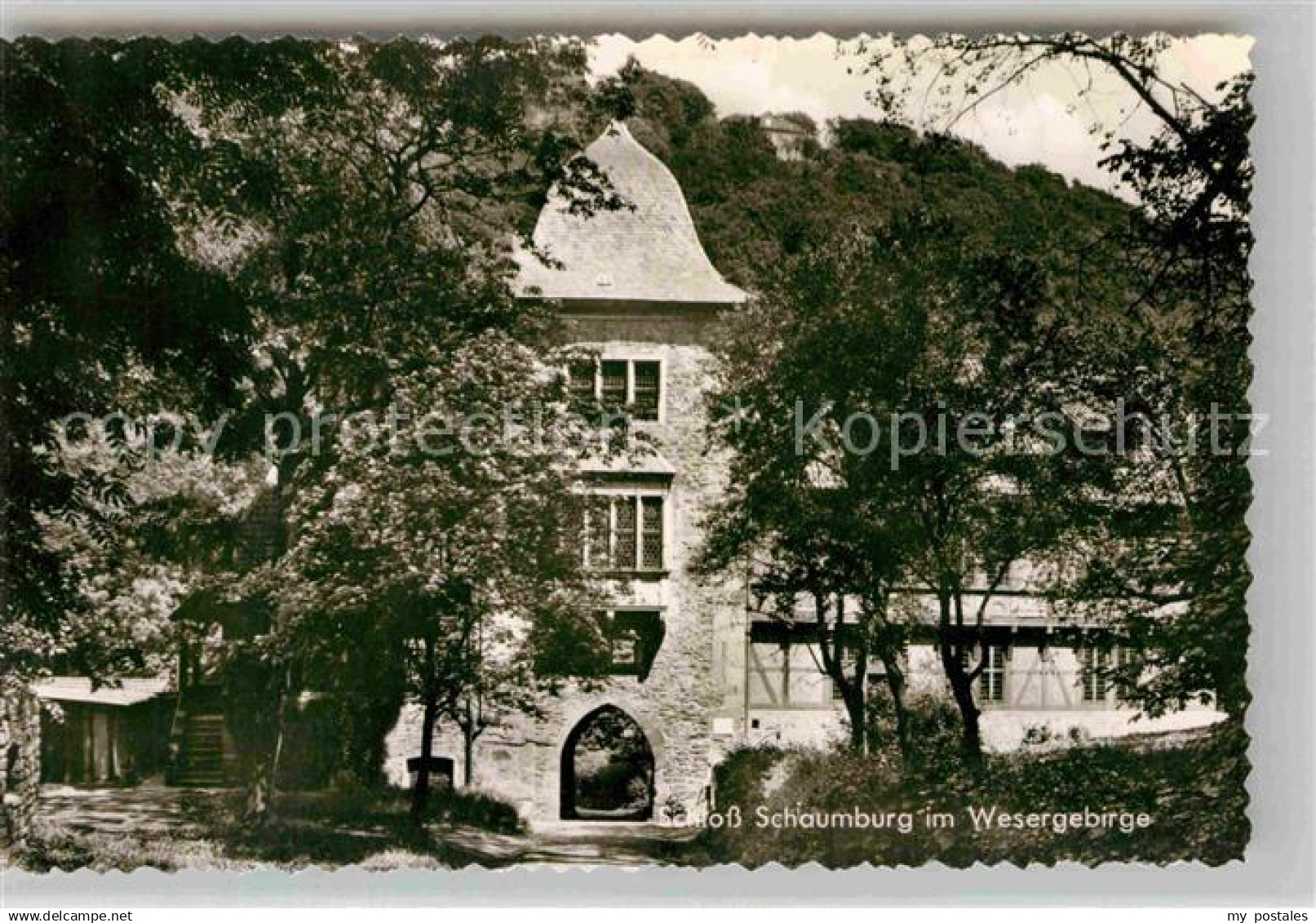 42708845 Rinteln Schloss Schaumburg Rinteln