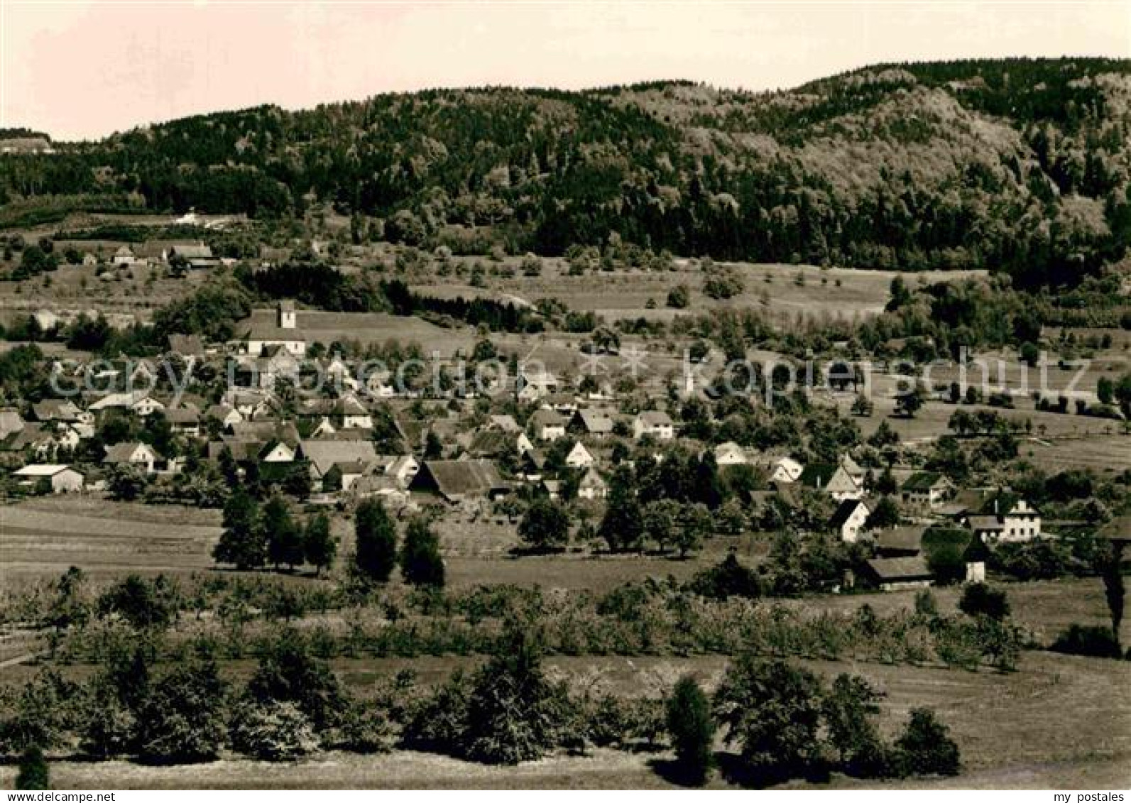 42752186 Altheim Bodenseekreis Totalansicht