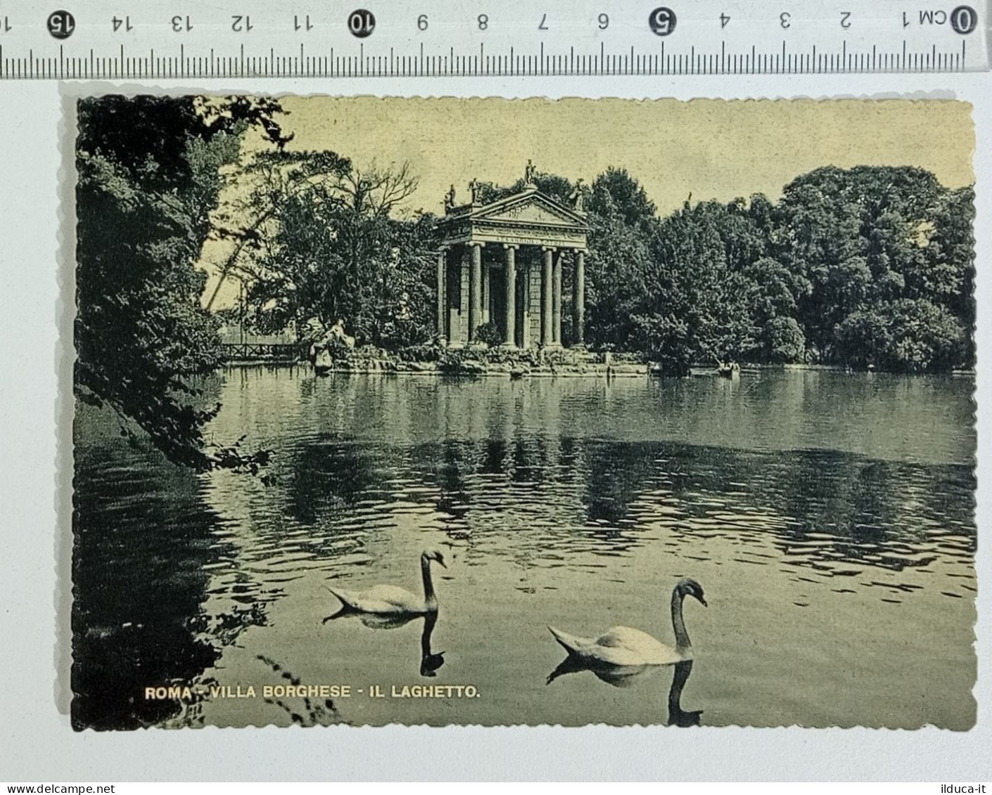 42754 2568 Cartolina - Roma Villa Borghese Laghetto